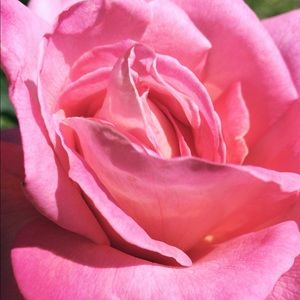 Meet your Posher, Simone